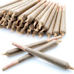 Joints (1G)