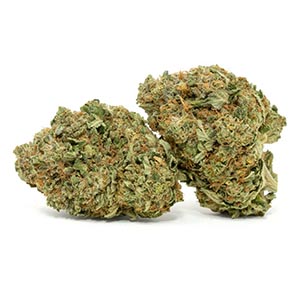 Daily special flower (mid grade flower, medium sized nugs)